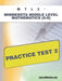 Mtle Minnesota Middle Level Mathematics (5-8) Practice Test 2 by Sharon A. Wynne