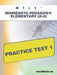 Mtle Minnesota Pedagogy: Elementary (K-6) Practice Test 1 by Sharon A. Wynne