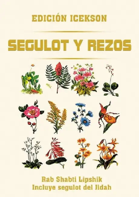 Segulot y Rezos by Lipshik, Shabti