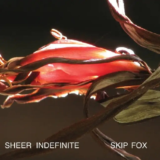 Sheer Indefinite:: Selected Poems, 1991-2011 by Skip Fox