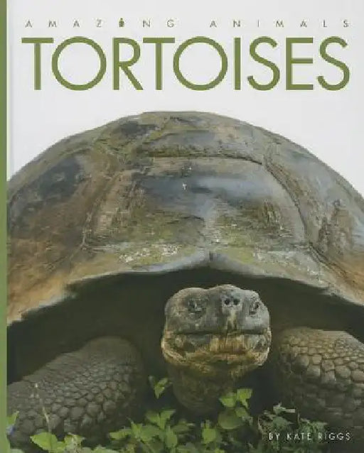 Tortoises by Kate Riggs
