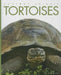 Tortoises by Kate Riggs