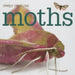 Moths by Valerie Bodden