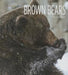 Brown Bears by Melissa Gish