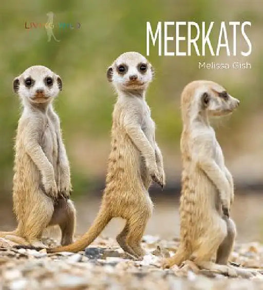 Meerkats by Melissa Gish