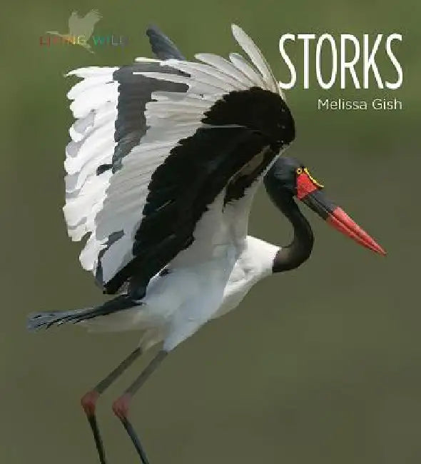 Storks by Melissa Gish