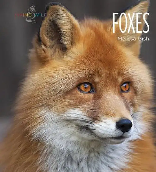 Foxes by Melissa Gish