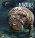 Manatees by Melissa Gish