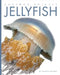 Jellyfish by Valerie Bodden