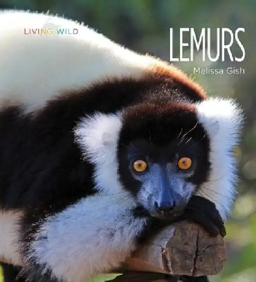 Lemurs by Melissa Gish