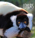 Lemurs by Melissa Gish