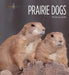 Prairie Dogs by Melissa Gish