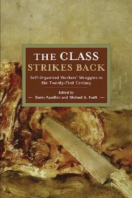 The Class Strikes Back: Self-Organised Workers' Struggles in the Twenty-First Century by Dario Azzellini