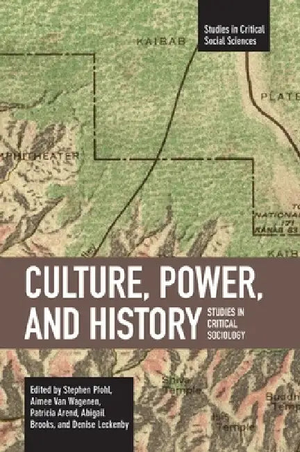 Culture, Power, and History: Studies in Critical Sociology by Patricia Arend Abigail Brooks and Denise