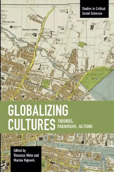Globalizing Cultures: Theories, Paradigms, Actions by Vincenzo Mele, Marina Vujnovic