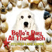 Belle's Day at the Beach by Stephen Lars Aaron