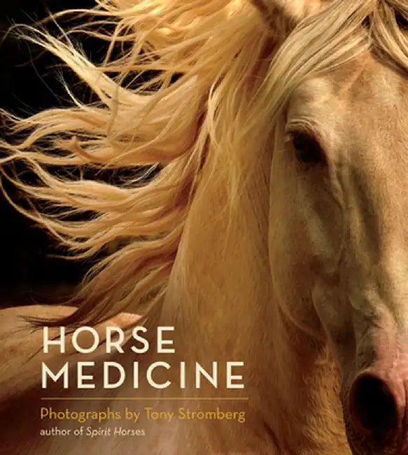 Horse Medicine by Tony Stromberg