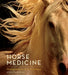 Horse Medicine by Tony Stromberg