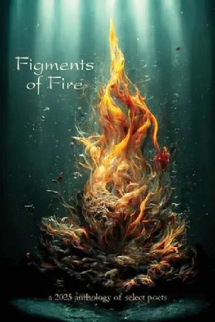 Figments of Fire by Eber & Wein Publishing