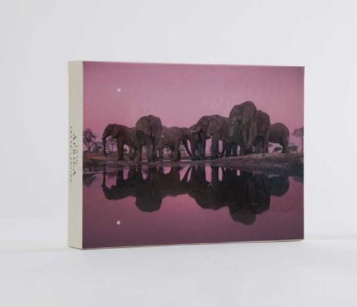 Into Africa: Blank Boxed Notecards by Frans Lanting