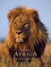 Into Africa: The Poster Portfolio: 12 Frameable Images by Frans Lanting