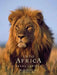 Into Africa: The Poster Portfolio: 12 Frameable Images by Frans Lanting