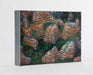 Art Wolfe: Extraordinary Earth Blank Boxed Notecards by Art Wolfe