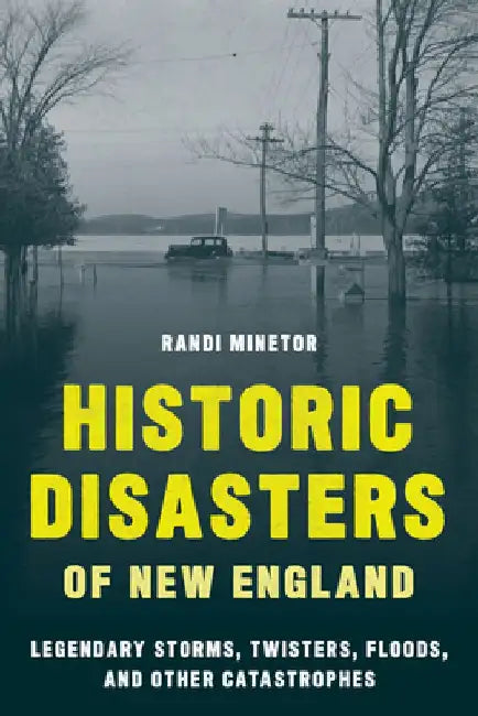 Historic Disasters of New England by Randi Minetor
