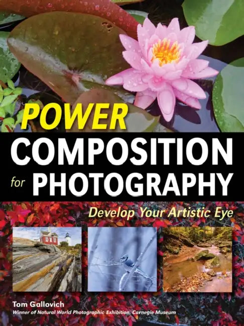 Power Composition for Photography: Develop Your Artistic Eye by Tom Gallovich