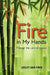 Fire in My Hands: Through the Land of Colour by Lesley Ann Eden