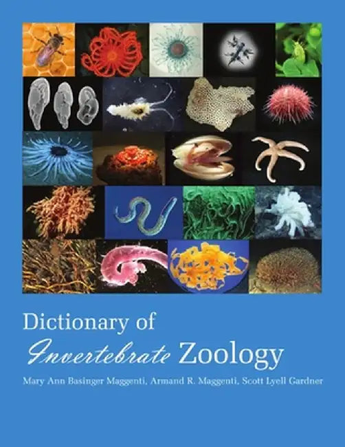 Dictionary of Invertebrate Zoology --Paperback by Maggenti Mary Ann
