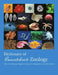 Dictionary of Invertebrate Zoology --Paperback by Maggenti Mary Ann