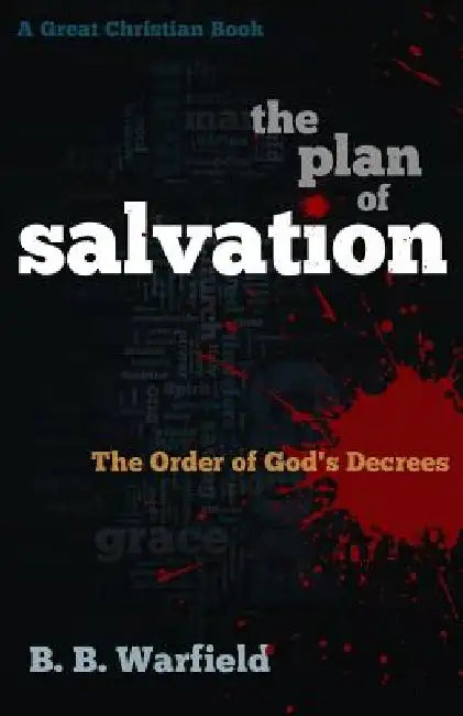 The Plan of Salvation: The order of God's decrees by Michael Rotolo
