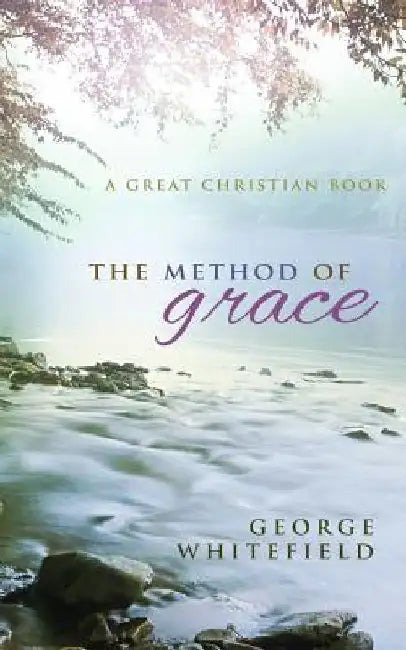 The Method of Grace by Michael Rotolo