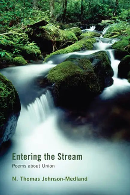 Entering the Stream by N. Thomas Johnson-Medland