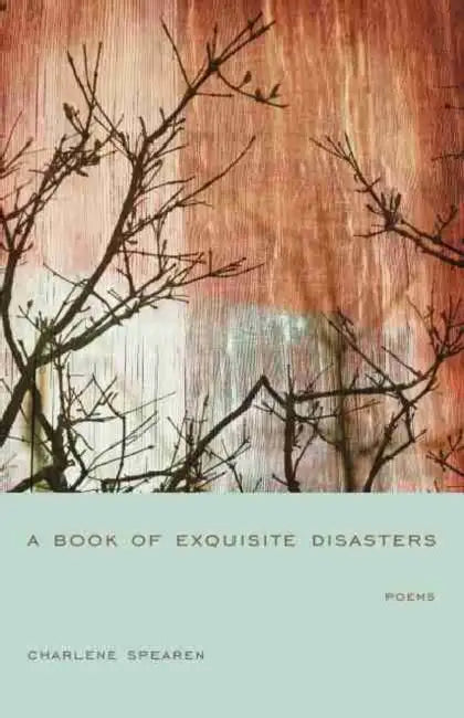 A Book of Exquisite Disasters by Charlene Spearen, Kwame Dawes