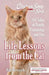 Chicken Soup for the Soul: Life Lessons from the Cat: 101 Stories about Our Feline Friends & What Matters Most by Amy Newmark