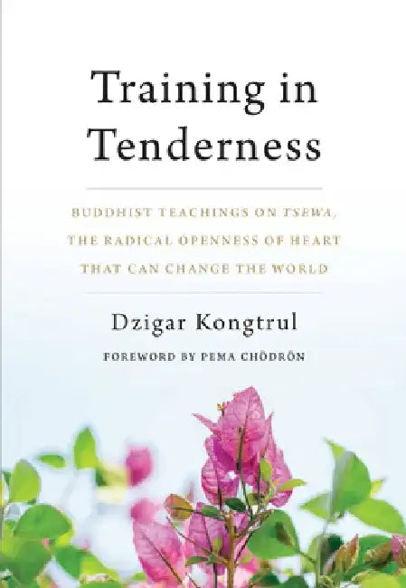 Training in Tenderness: Buddhist Teachings on Tsewa, the Openness of Heart That Can Change the World by Dzigar Kongtrul