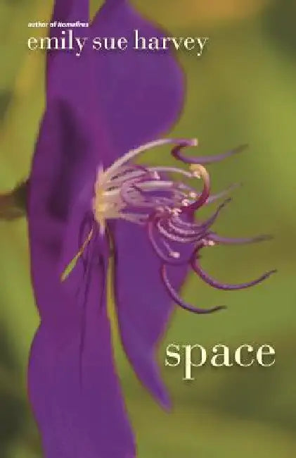 Space by Harvey, Emily Sue