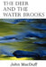 The Deer and the Water Brooks by John Macduff