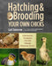 Hatching & Brooding Your Own Chicks: Chickens, Turkeys, Ducks, Geese, Guinea Fowl by Gail Damerow