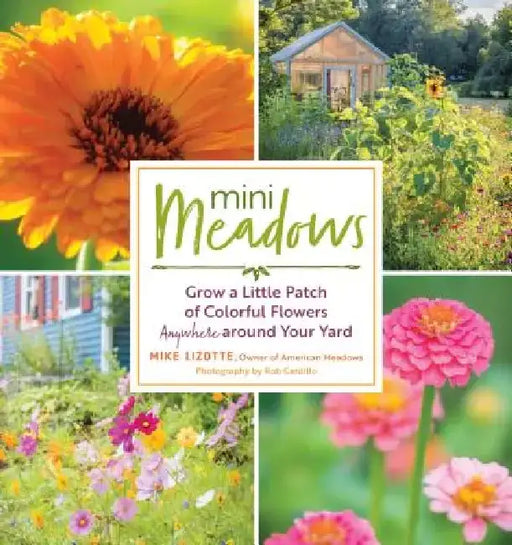 Mini Meadows: Grow a Little Patch of Easy, Colorful Flowers Anywhere Around Your Yard by Mike Lizotte