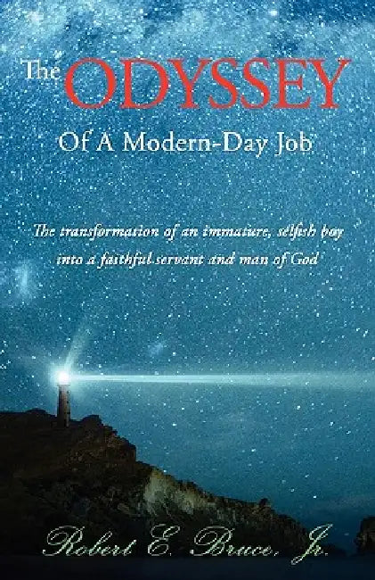 The ODYSSEY Of A Modern-Day Job by Jr. Bruce Robert E.
