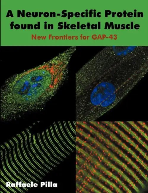 A Neuron-Specific Protein found in Skeletal Muscle: New Frontiers for GAP-43 by Raffaele Pilla