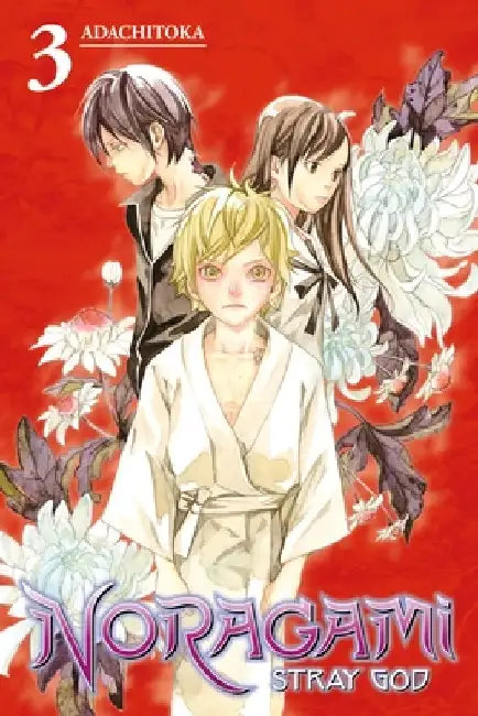 Noragami: Stray God 3 by Adachitoka
