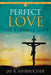 Perfect Love: The Eternal Gift by Jay R. Ashbaucher