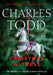 A Christmas Witness by Todd, Charles