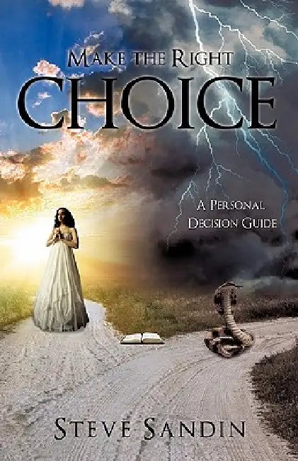 Make the Right Choice by Steve Sandin