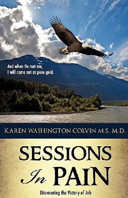 Sessions In Pain by Karen Washington Colvin M. S.
