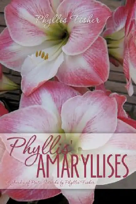 Phyllis' Amaryllises by Phyllis Fisher